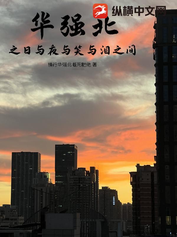 华强北之日与夜与笑与泪之间